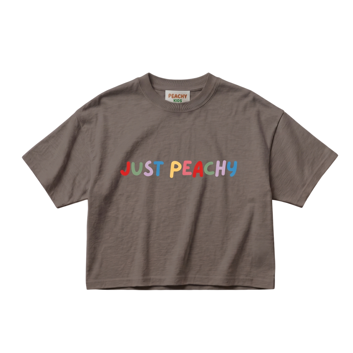 Organic Cotton Tee (Boxy Fit) - Just Peachy Slate