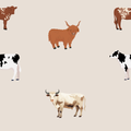Oatmeal Cow