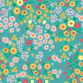 Summer Meadow