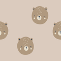 Teddy